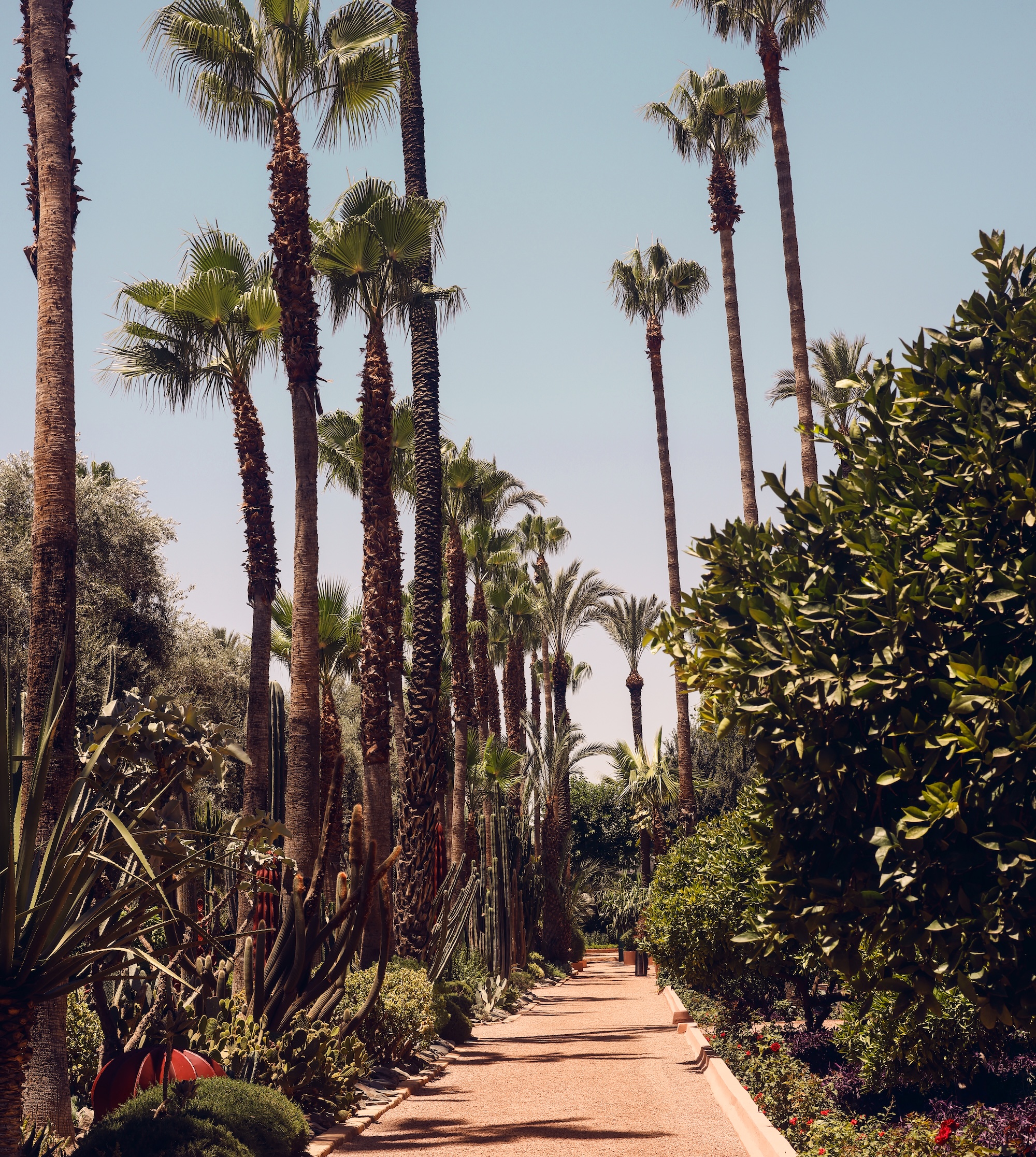 Hidden Morocco
